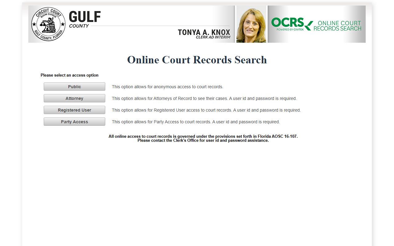 Gulf County OCRS online court records search for civil cases