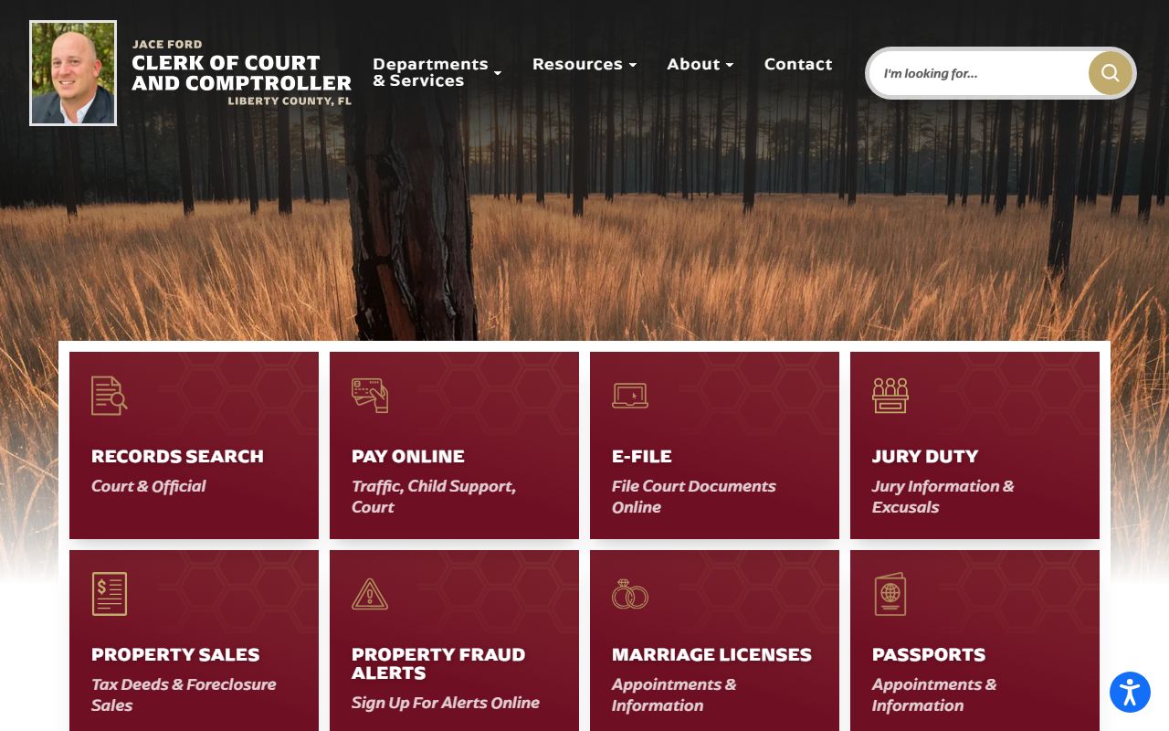 Liberty County Clerk of Court homepage for civil court records